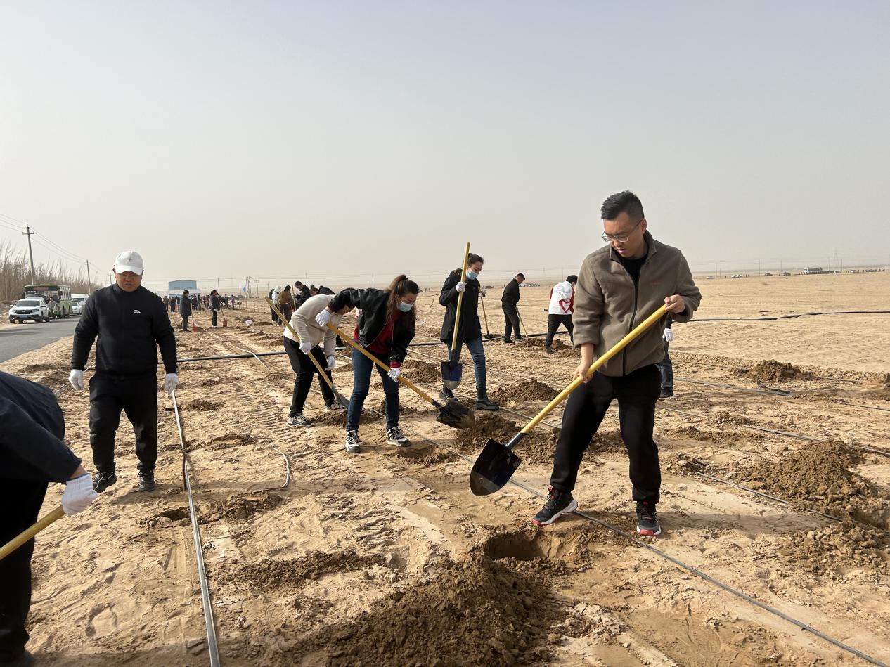 墨玉县纪委监委组织机关干部开展义务植树活动