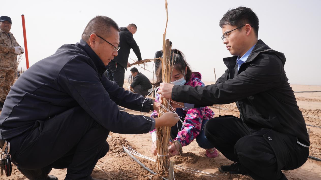 W020240312618519783588