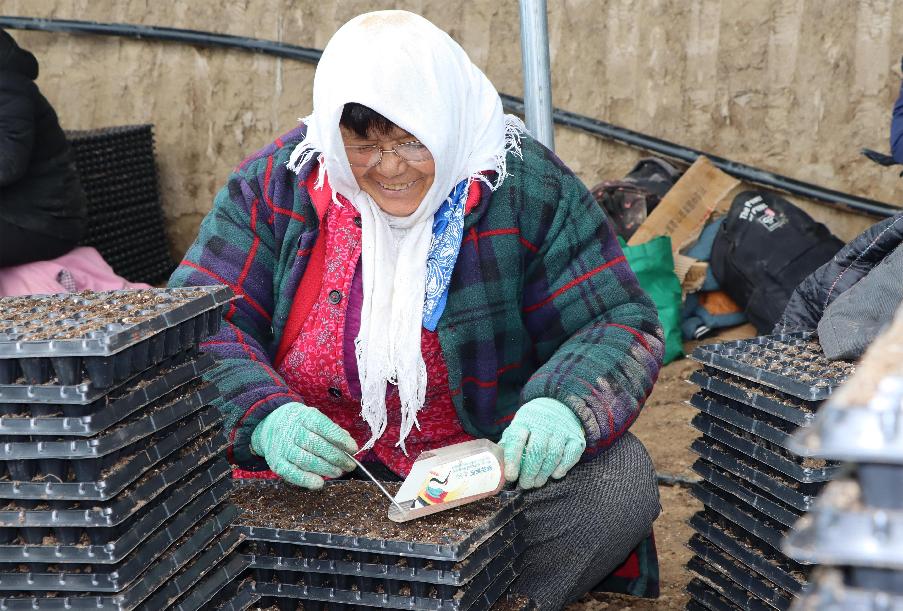 2d72276e8a8a36311bf106a334440a1