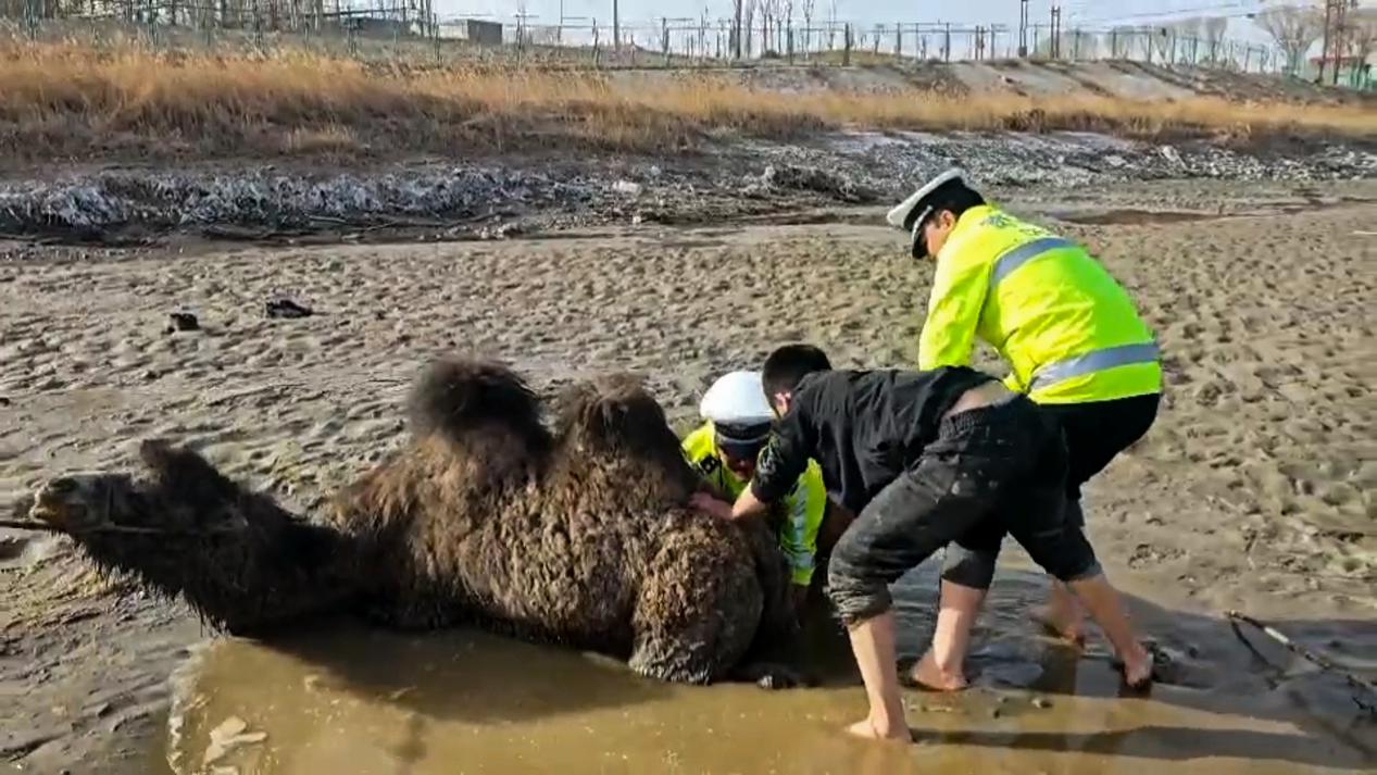 警民携手救援中