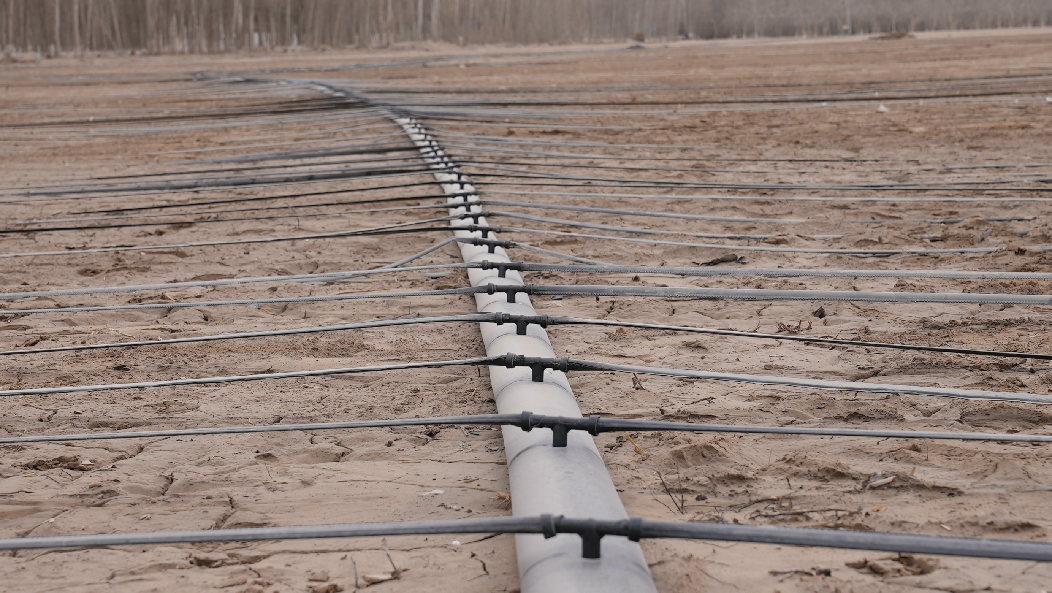 完善的灌溉系统