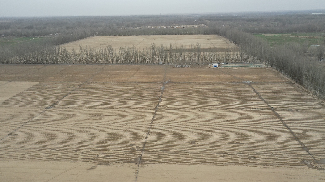 自2019年至2023年,墨玉县已实施的高标准农田项目达到了20万亩