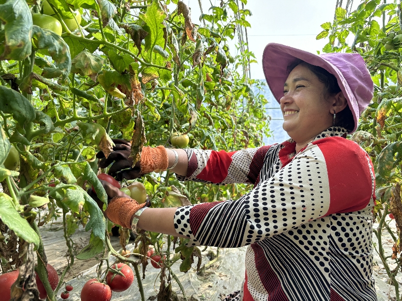 W020240315732028113352