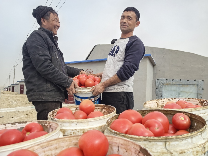 W020240315732032823064