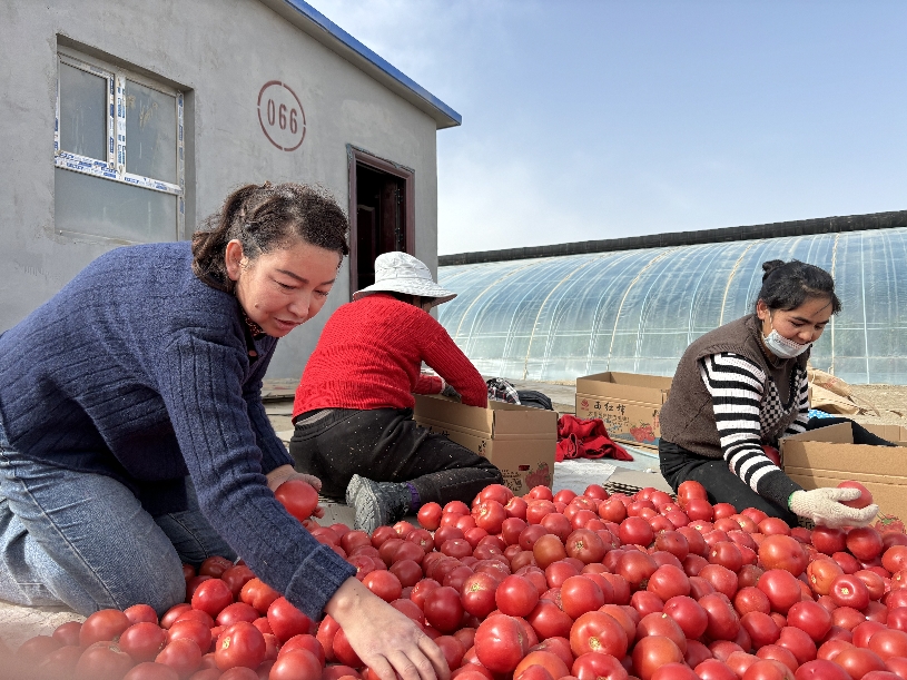 W020240315732039240975