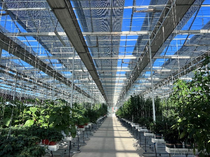 科技 (2)_看图王