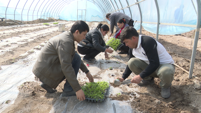 微信图片_20240320114705