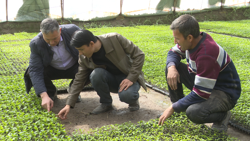 微信图片_20240320114723