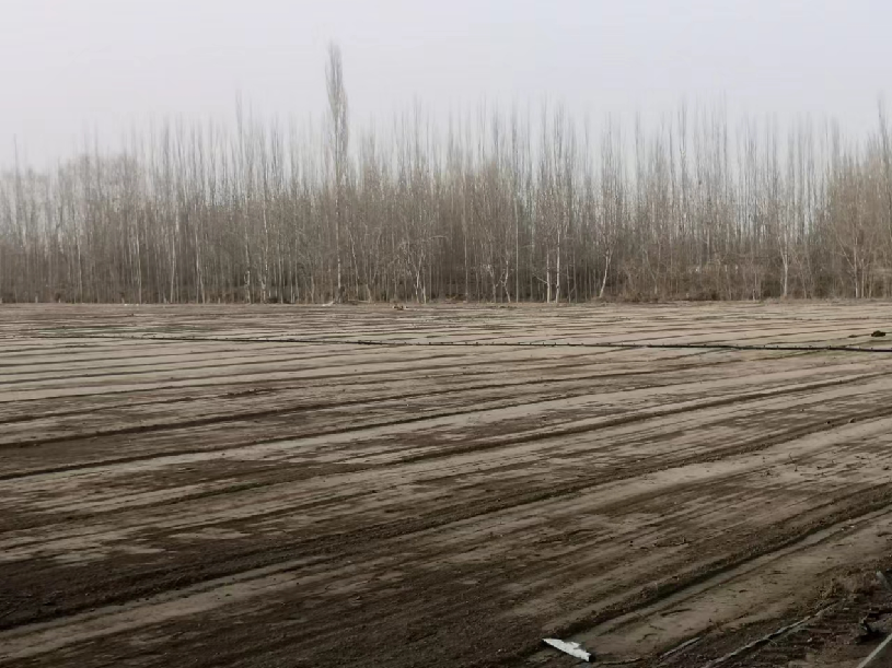 W020240321484066785795