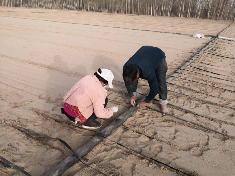 W020240321484699046278