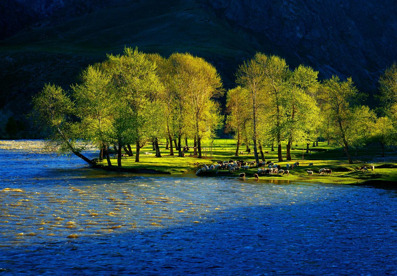 牧歌（富蕴县委宣传部供图）