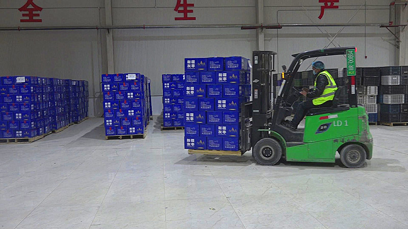 新疆果业集团有限公司墨玉工厂开年以来已经加工红枣1000多吨