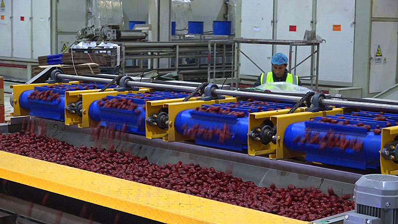 新疆果业集团有限公司墨玉工厂红枣加工生产线