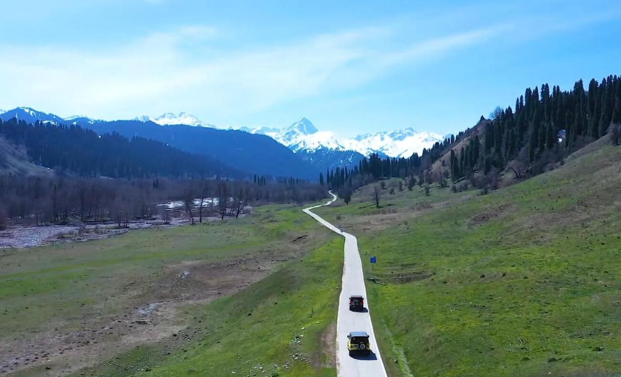 QQ截图20240325121315