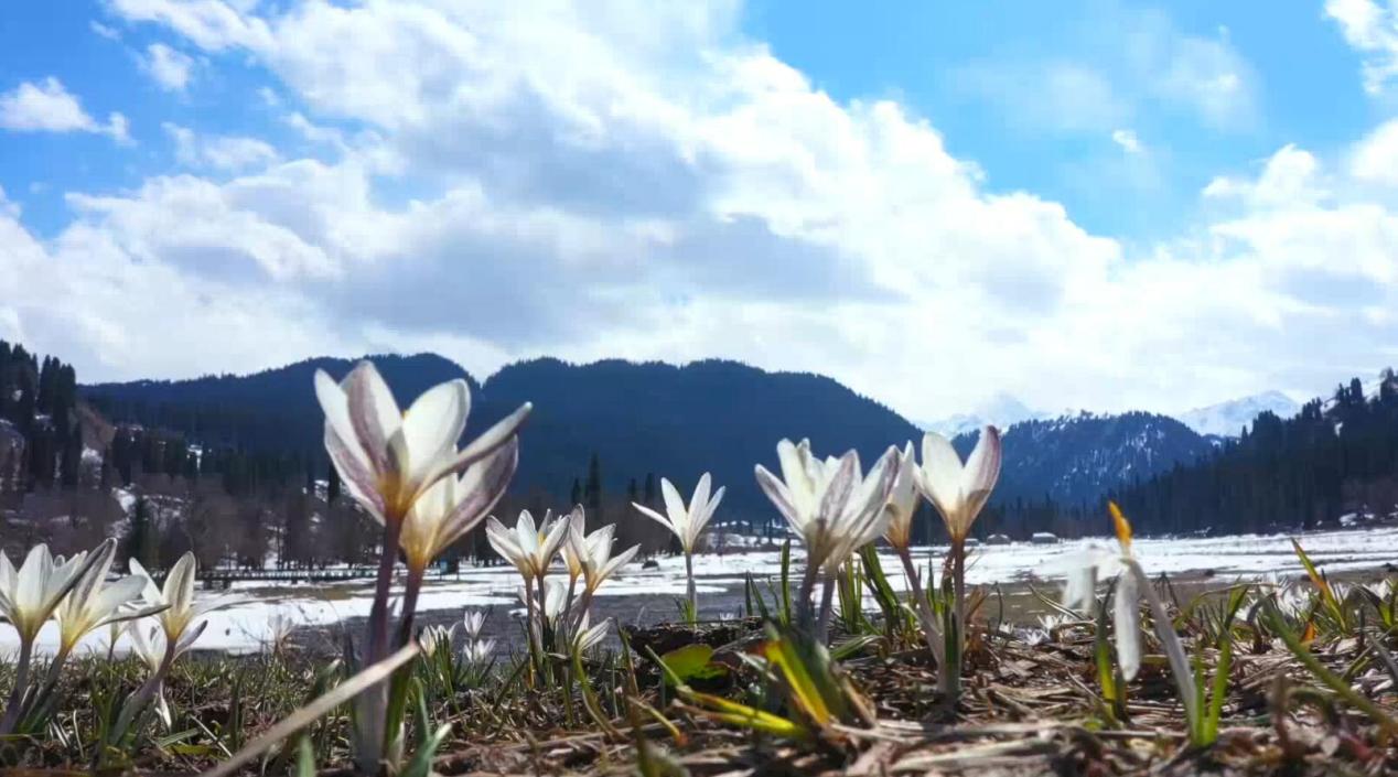 QQ截图20240325121247