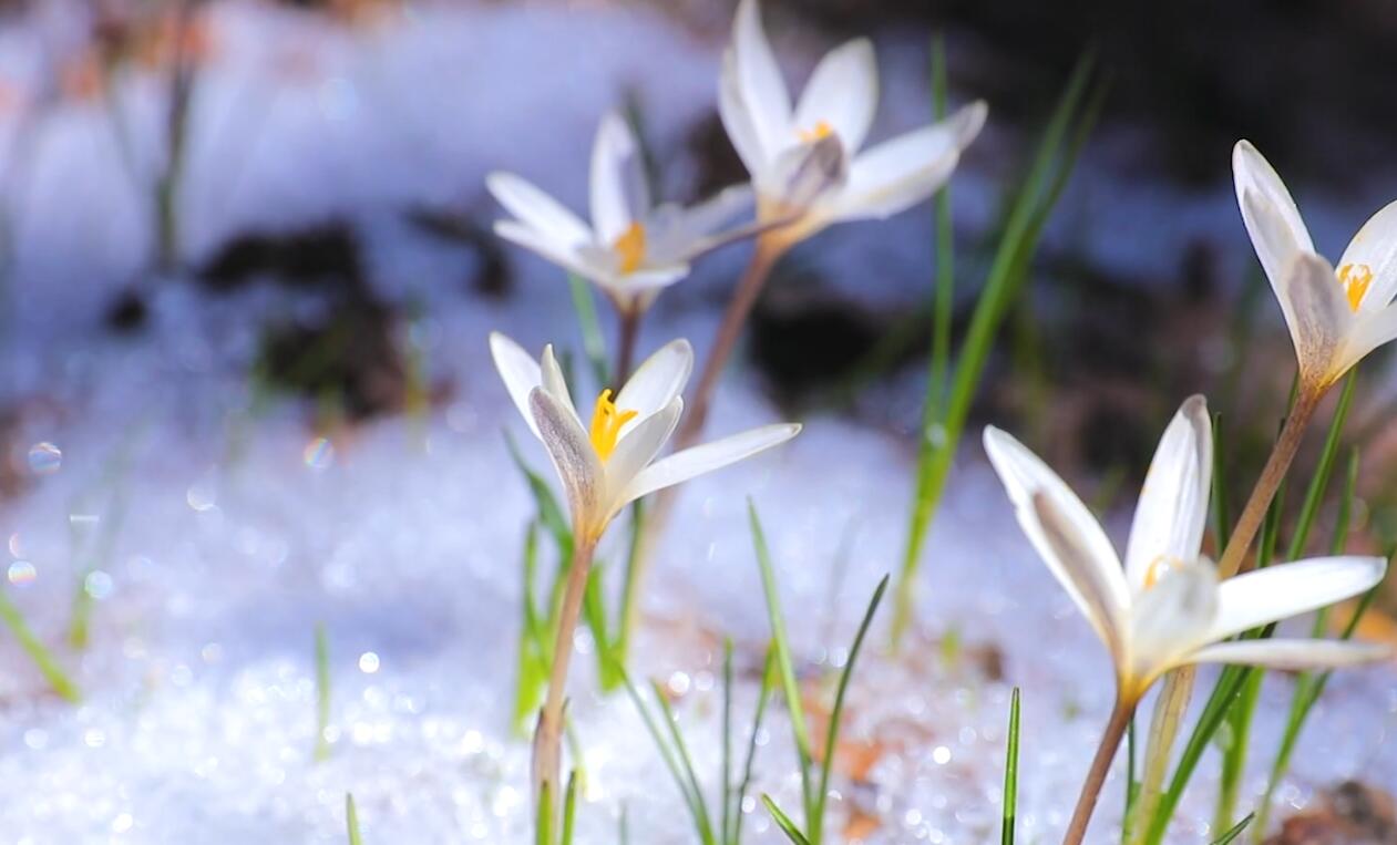 QQ截图20240325121331