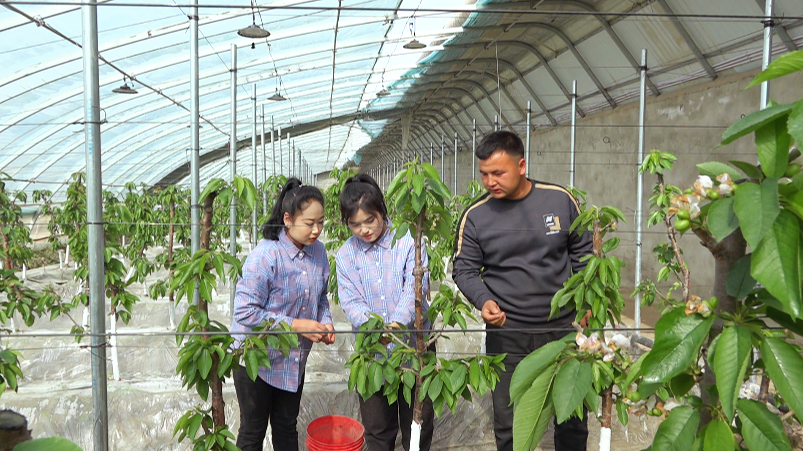 W020240326388871776107