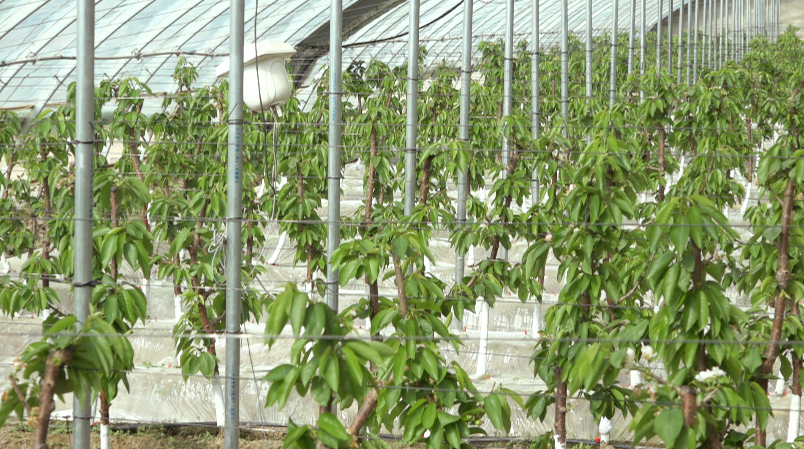 W020240326388870773156