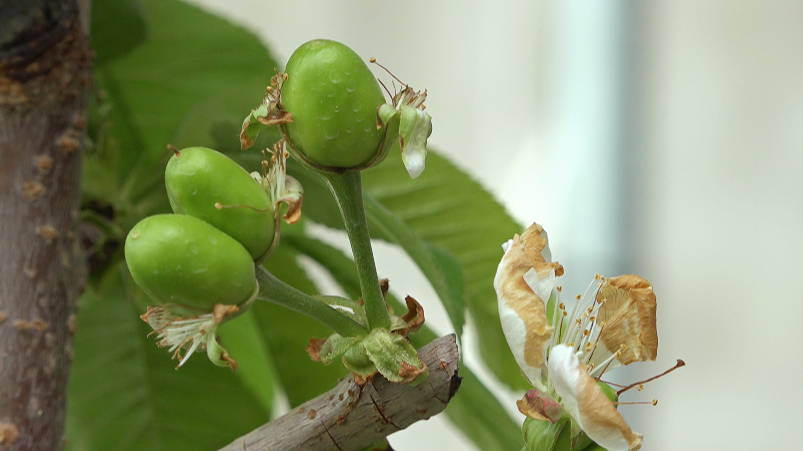 W020240326388869416078