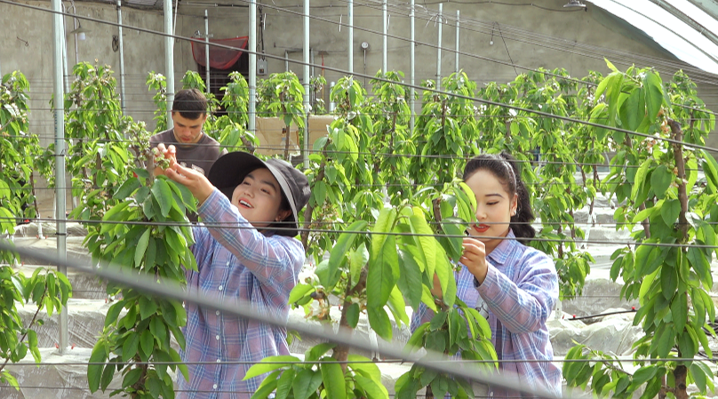 W020240326388869719116