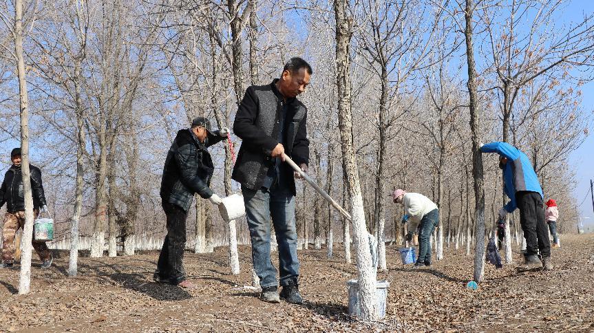 322c980b2d12b657c24f8c1557fd0c5