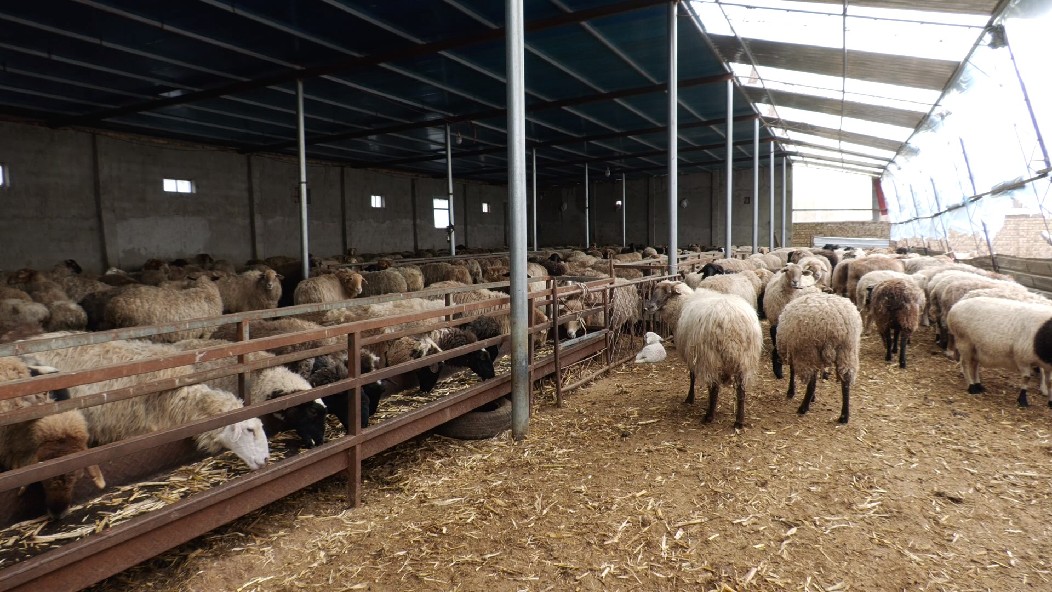 W020240325560688215515