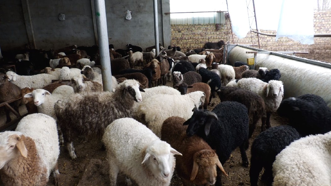 W020240325560687467315