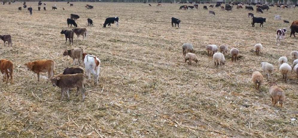 QQ截图20240326110614