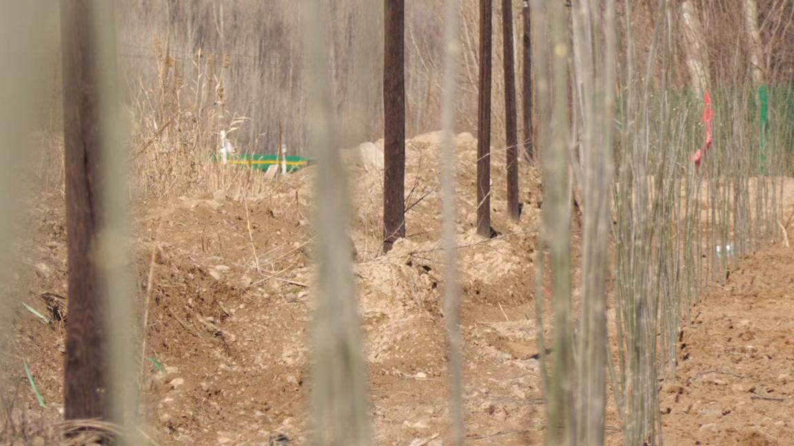 W020240327397070107355