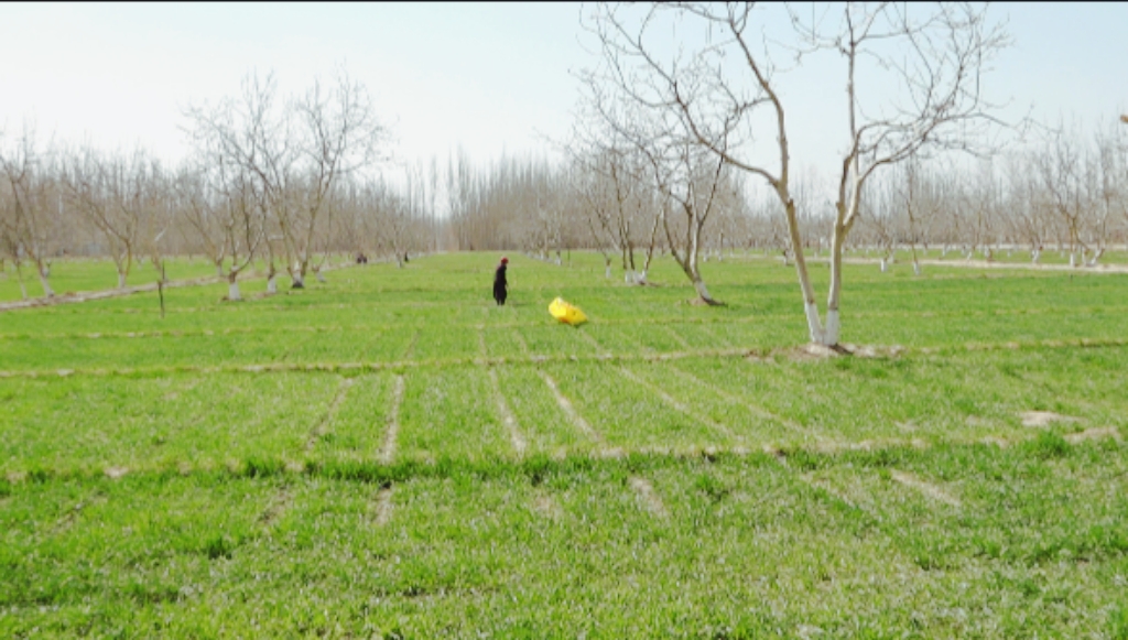 W020240327610633771651