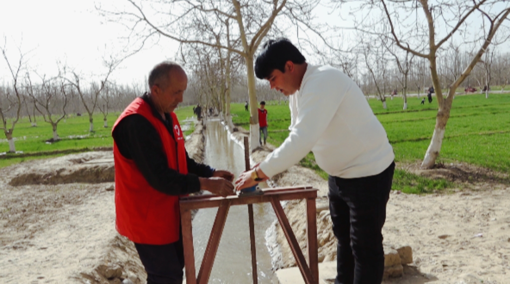 W020240327610635081664