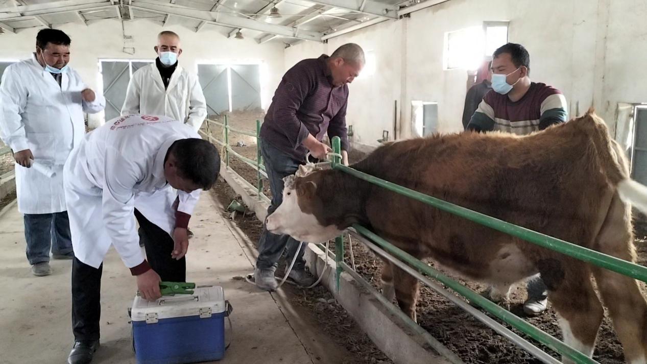 微信图片_20240328161301