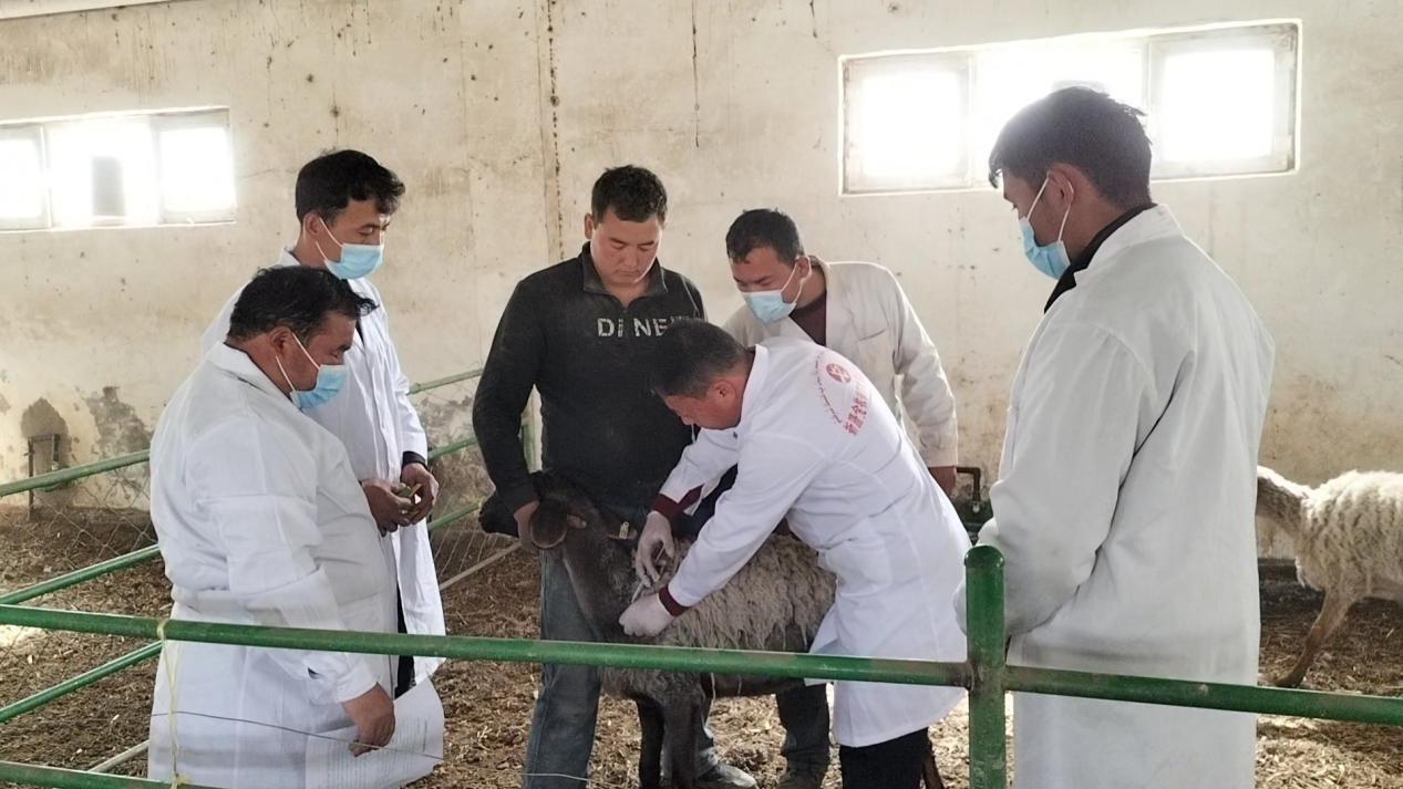 微信图片_20240328161249