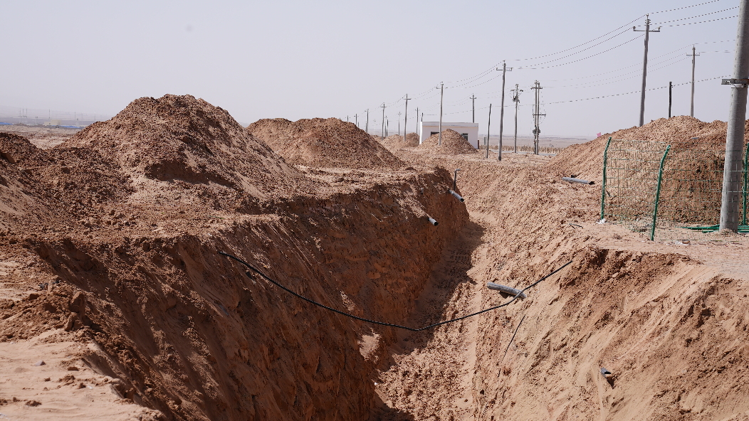 W020240329480881748096