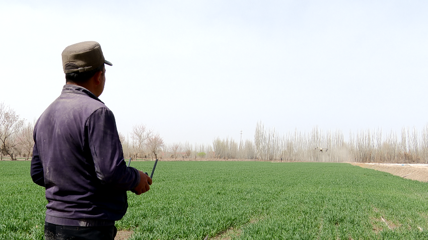 微信图片_20240401123133