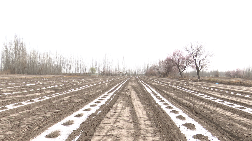 微信图片_20240401120440