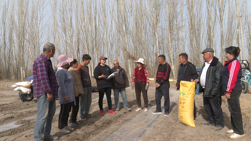 微信图片_20240401120414