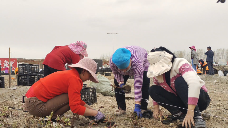 微信图片_20240401121109