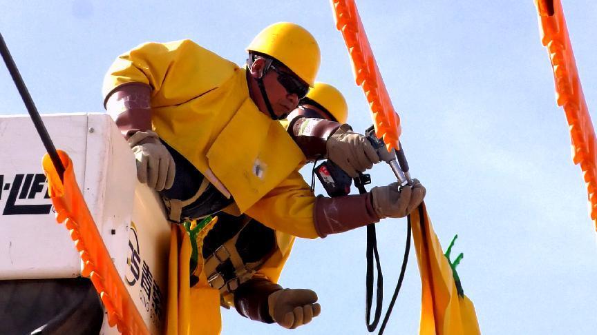 供电公司护航春耕助力乡村振兴 (1)