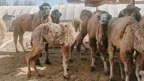 微信图片_20240407122611