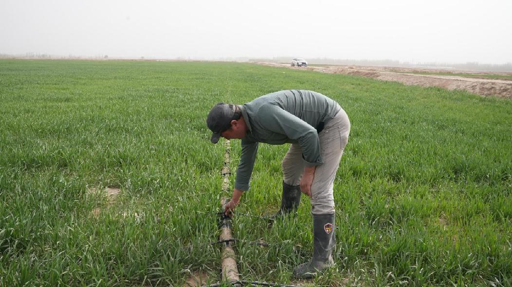 滴灌技术的推广是墨玉县节水农业的一大突破