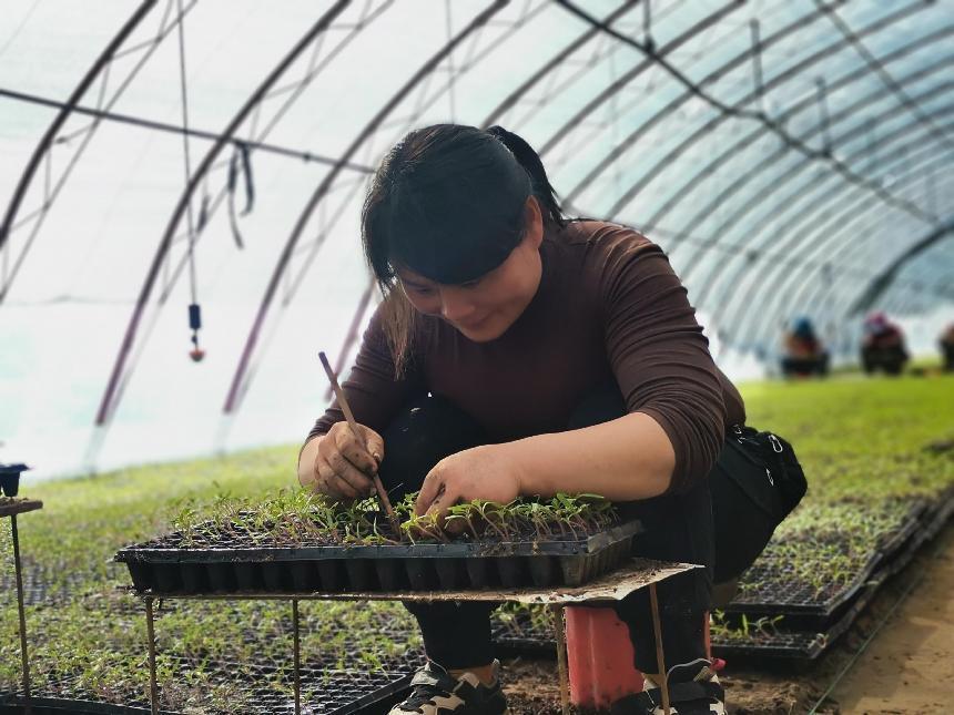 d4e1cc82524fb7f56703456c86694e5