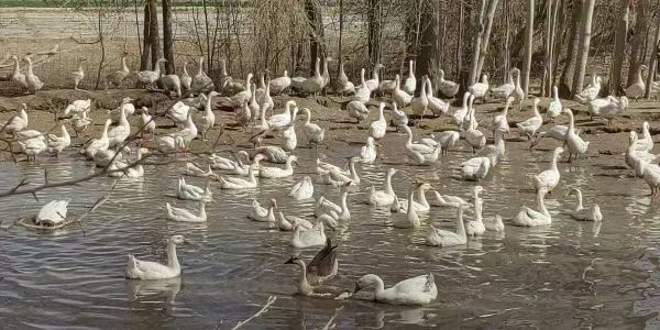 微信图片_20240407104357