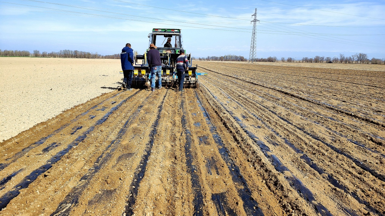 C:\Users\Administrator\Desktop\2024年4月6日，新疆察布查尔：春耕正当时 地头农机忙图片。华岩明摄（13999388301）\2024年4月6日，新疆察布查尔：春耕正当时 地头农机忙图片。华岩明摄（13999388301）\4月6日，在察布查尔镇乌宗布拉克农村社区春耕地里，两台装有北斗导航系统的拖拉机各自设置路线精准作业，将滴灌带铺设、覆膜、播种和覆土等工序一次性作业完成。华岩明摄a4b4bb18ef8543eb551ed0168ac2f18.jpg