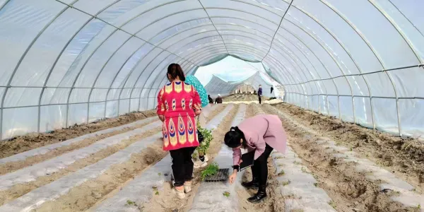 微信图片_20240407162151