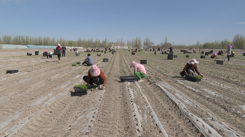 微信图片_20240408153804