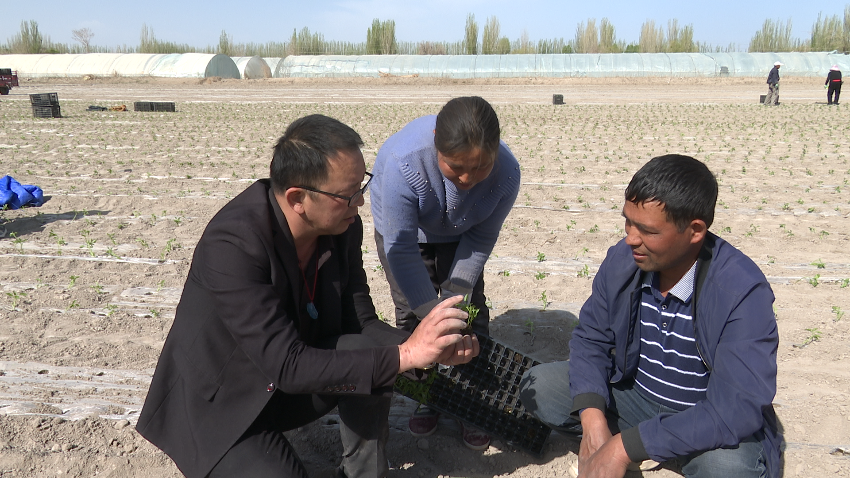 微信图片_20240408153746