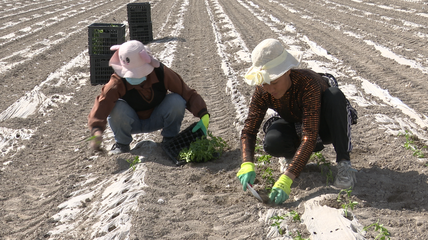 微信图片_20240408153758