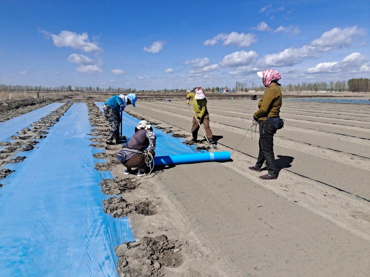 5f46d3bfc03ef7628c3336562863910