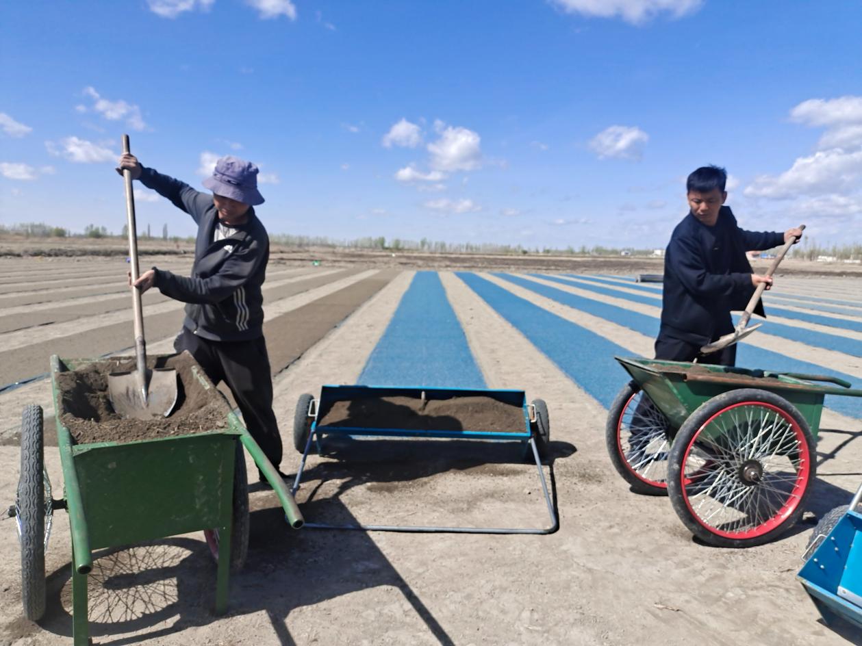 18b6d2c1dee6deccb5beaf95acd1d0c